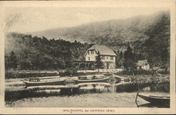 Gemuend Eifel aldhotel