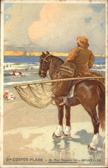 Sainte Coxyde Plage Rue Royale 56