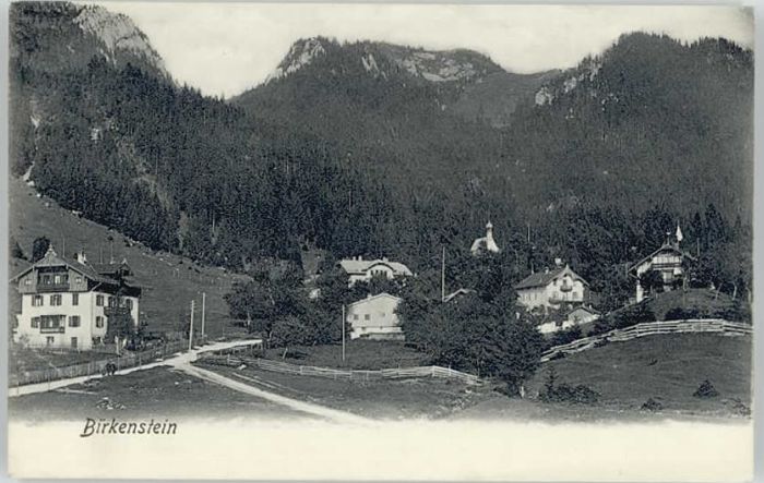 Birkenstein  ungelaufen ca. 1910