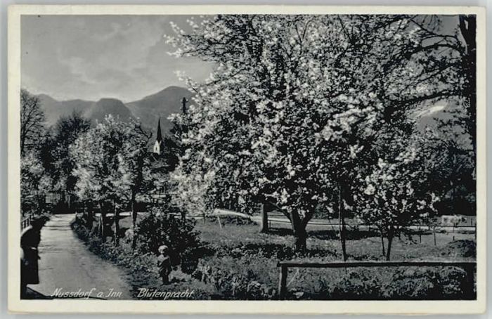 Nussdorf Inn  x 1936