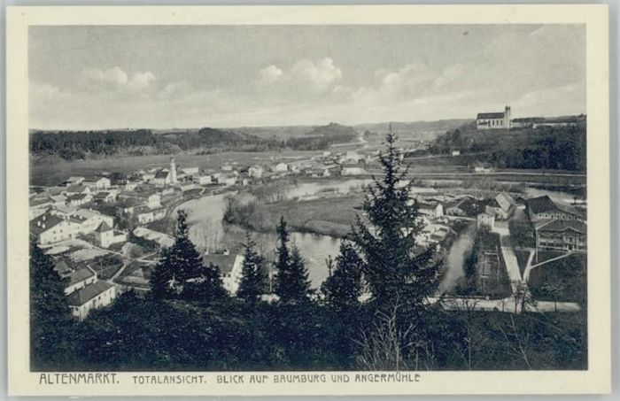 Altenmarkt Alz Baumburg Angermühle ungelaufen ca. 1920