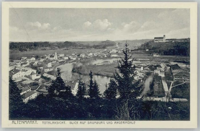 Altenmarkt Alz Baumburg Angermühle ungelaufen ca. 1920