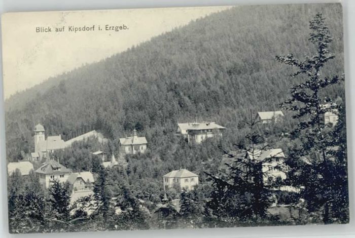Altenberg Erzgebirge Kipsdorf ungelaufen ca. 1910