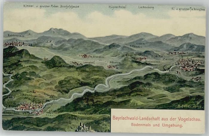 Regen Bodenmais Zwiesel ungelaufen ca. 1910