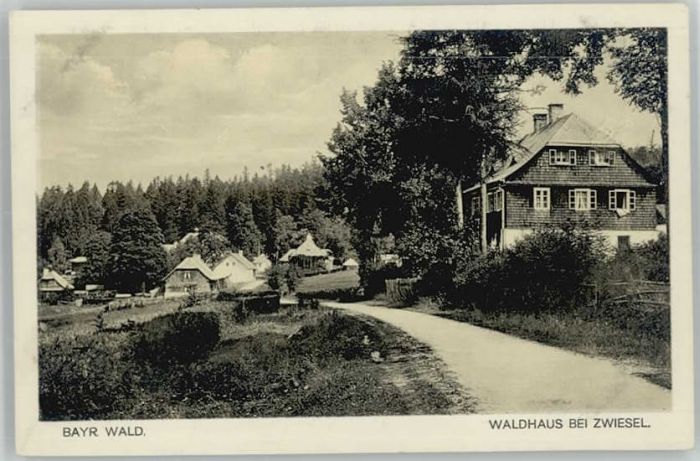 Zwiesel Niederbayern Zwiesel Waldhaus ungelaufen ca. 1920