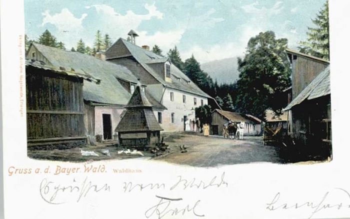 Regen [Stempelabschlag] Waldhaus x 1903