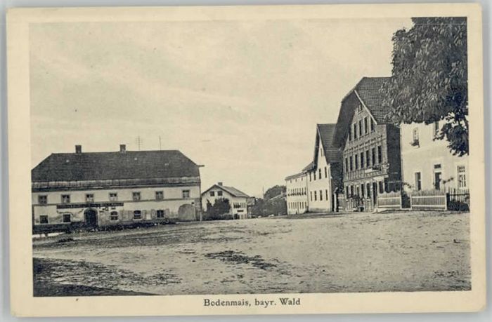 Bodenmais Regen Bayern  ungelaufen ca. 1920