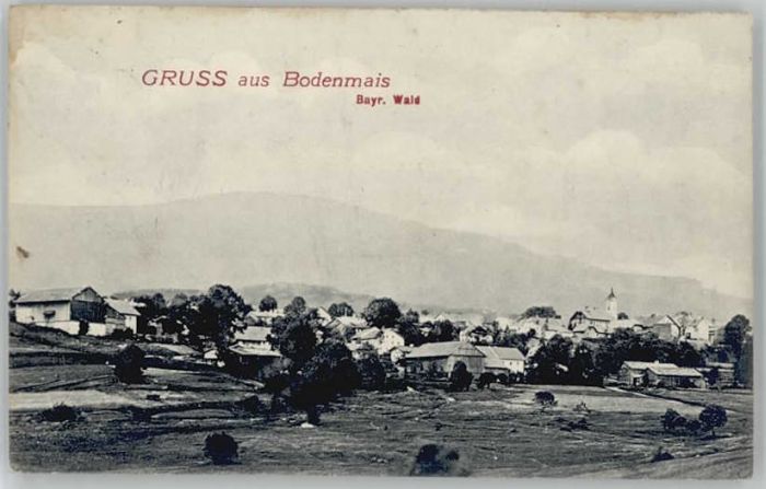 Bodenmais Regen Bayern  ungelaufen ca. 1910