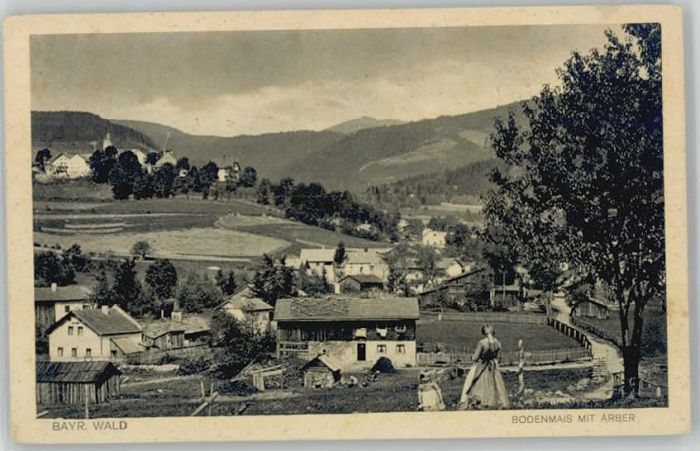 Bodenmais Regen Bayern  ungelaufen ca. 1920