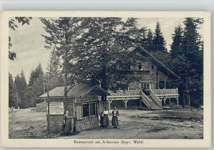 Bodenmais Arbersee ungelaufen ca. 1920