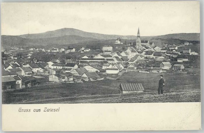 Zwiesel Niederbayern Zwiesel ungelaufen ca. 1920