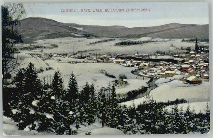 Zwiesel Niederbayern Zwiesel  x 1917