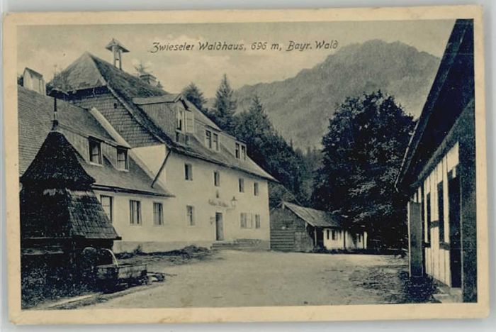 Zwiesel Niederbayern Zwiesel Waldhaus x 1920