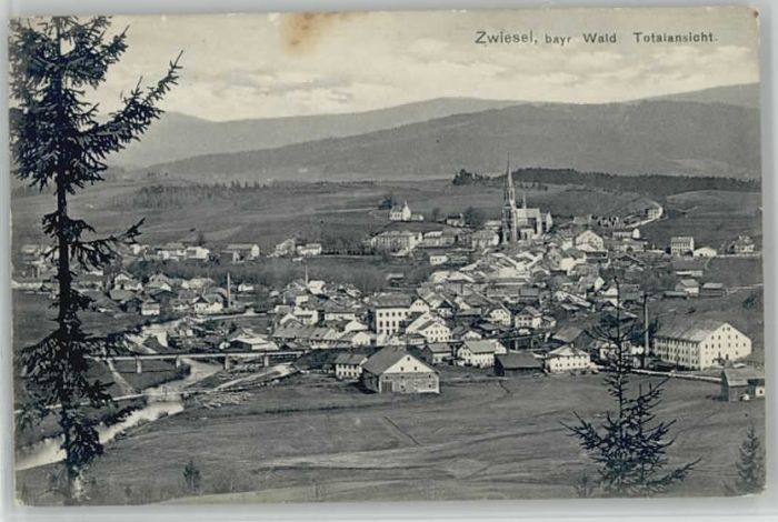 Zwiesel Niederbayern Zwiesel ungelaufen ca. 1910