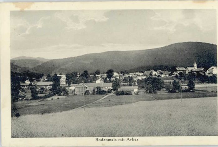 Bodenmais Regen Bayern  ungelaufen ca. 1920