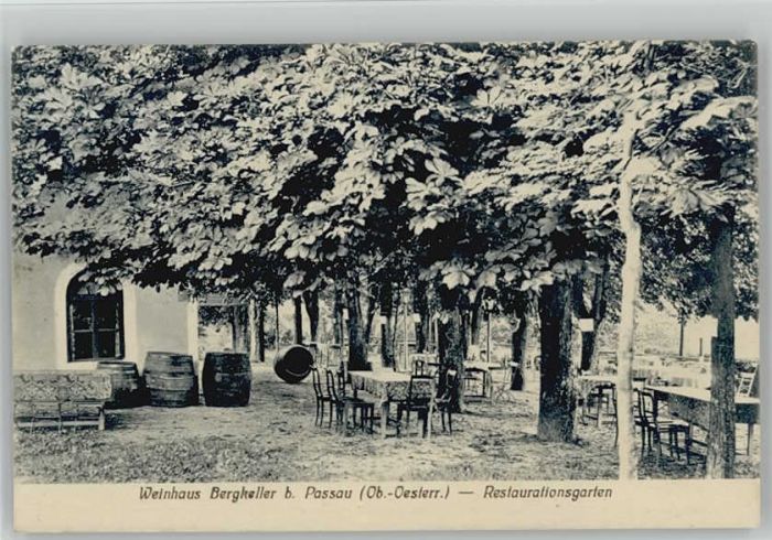 Passau Weinhaus Bergkeller x 1910