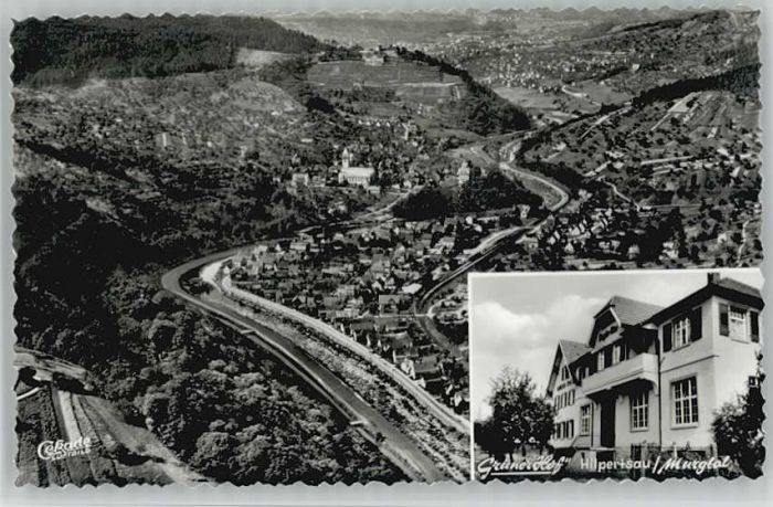 Hilpertsau Gaststätte Pension Grüner Hof Fliegerau