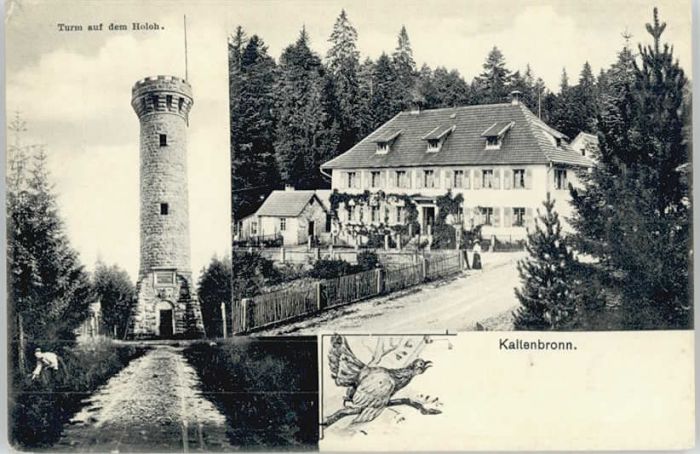 Kaltenbronn