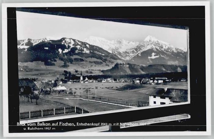 Fischen Allgaeu aus Kaserer