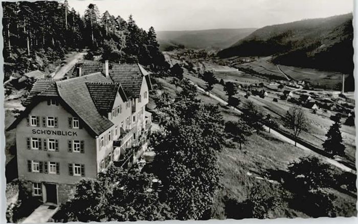 Baiersbronn Schwarzwald Baiersbronn Fliegeraufnahme Erholungshe