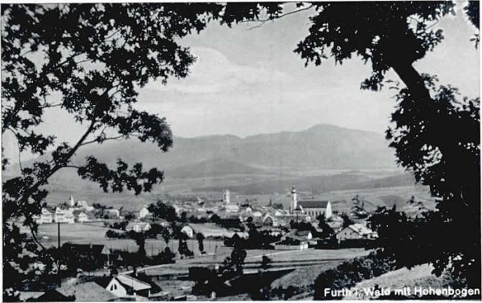 Furth Wald Hohenbogen