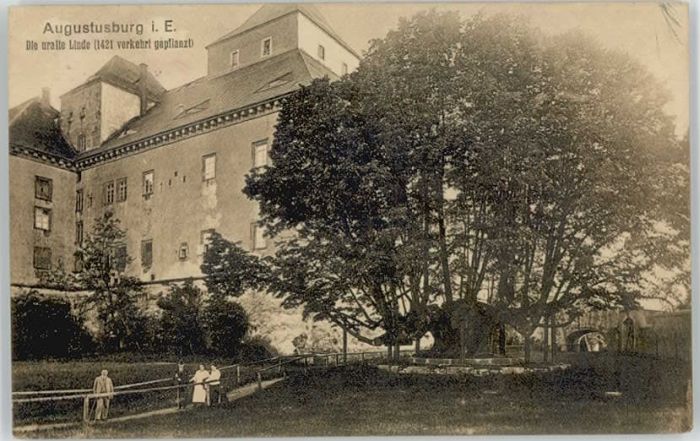 Augustusburg Uralte Linde