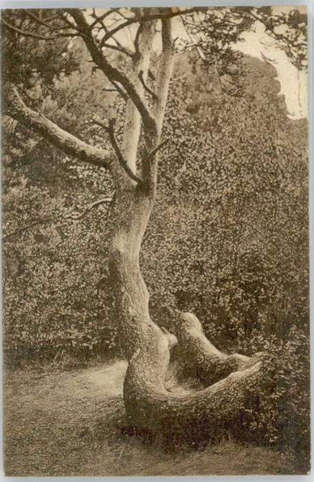 Bendestorf Gasthaus Schlangenbaum