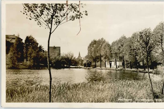 Mettmann Goldberger Teich