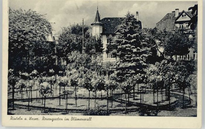 Rinteln Weser Niedersachsen Rosengarten Blumenwall