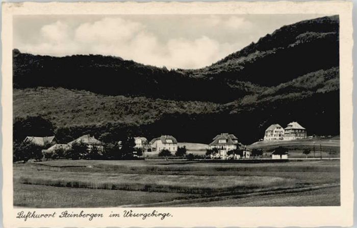 Steinbergen