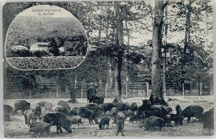 Springe Deister Springe