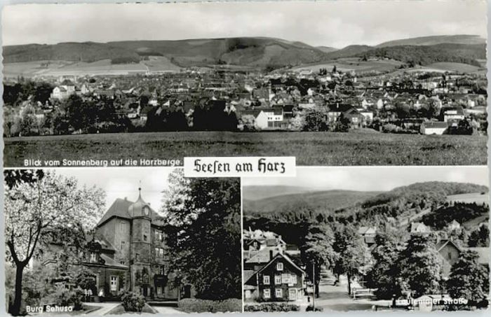 Seesen Harz Seesen burg Sehusa Lautentaler Strasse