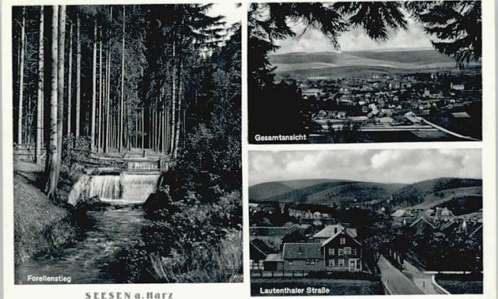 Seesen Harz Seesen Forellenstieg Lautentaler Strass