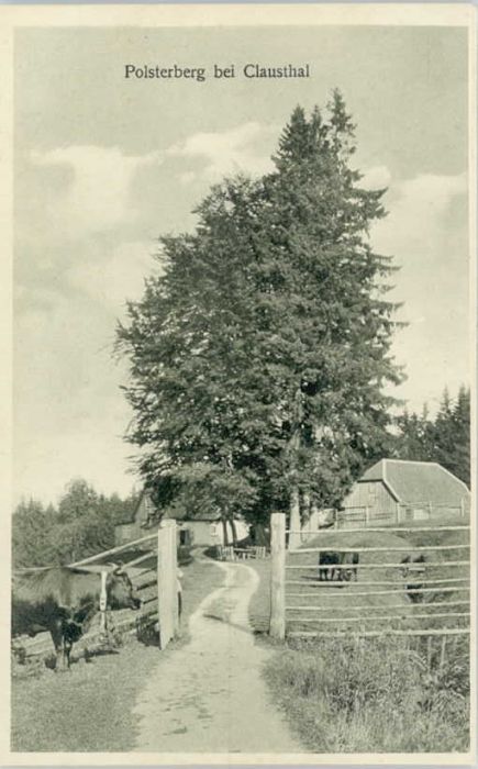 Clausthal-Zellerfeld Goslar Niedersachsen Polsterberg
