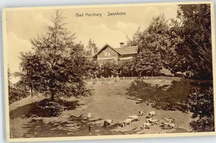 Bad Harzburg Sennhütte