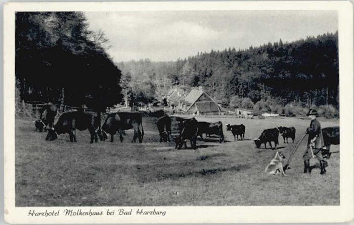 Bad Harzburg Hotel Molkenhaus
