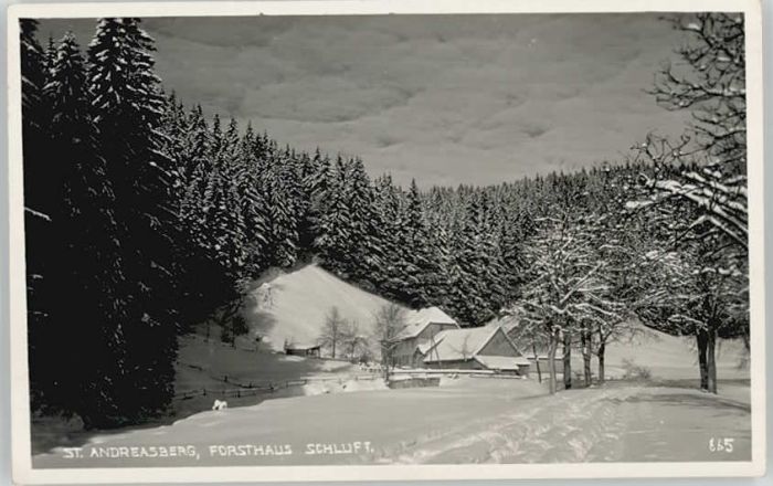 St Andreasberg Harz St Andreasberg Forsthaus Schluft