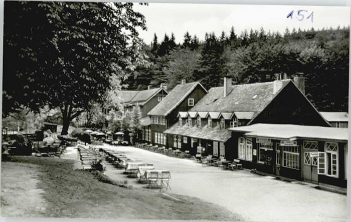 Bad Harzburg Hotel Molkenhaus