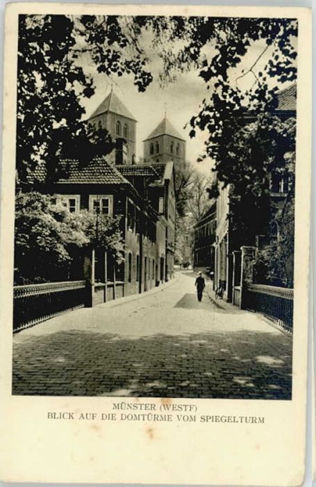 Muenster Westfalen omtürme *