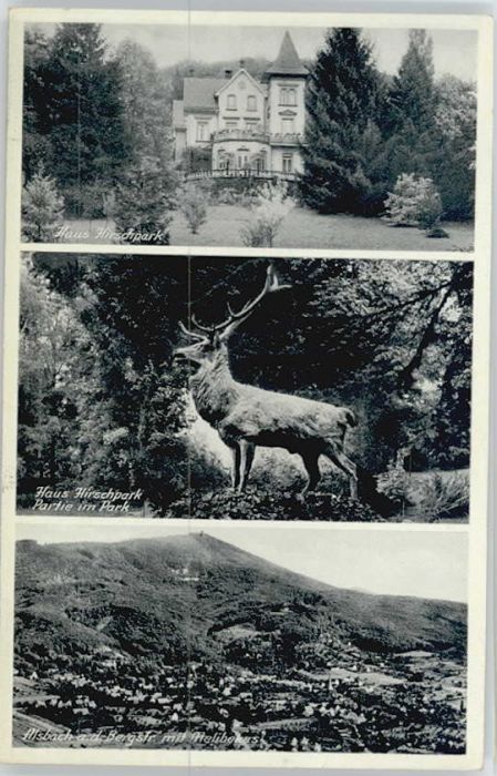 Alsbach Bergstrasse Alsbach Haus Hirschpark