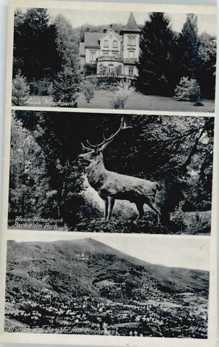 Alsbach Bergstrasse Alsbach Haus Hirschpark