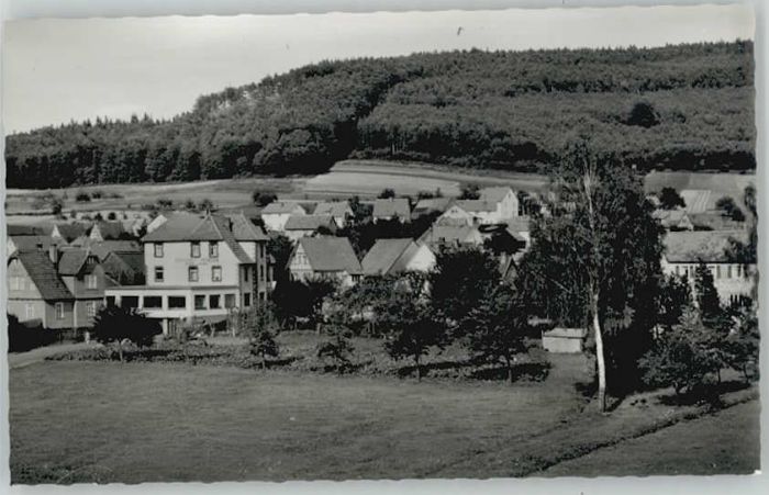 Wahlen Odenwald Gasthof Pension Burg Waldau
