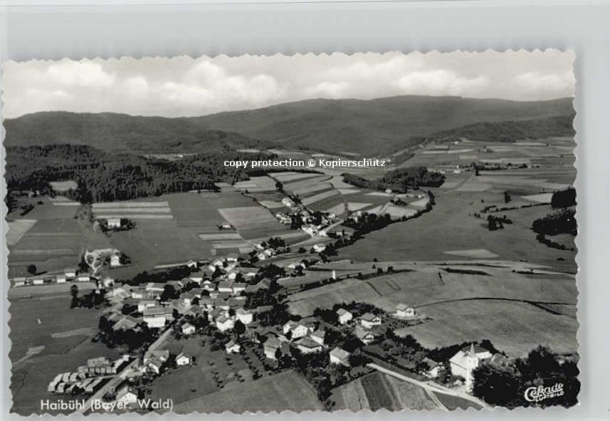 Haibuehl Fliegeraufnahme * 1955