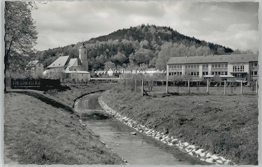 Pegnitz Schlossberg * 1955