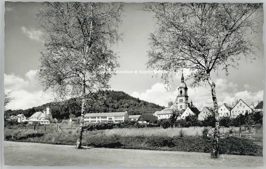 Pegnitz Schlossberg * 1955