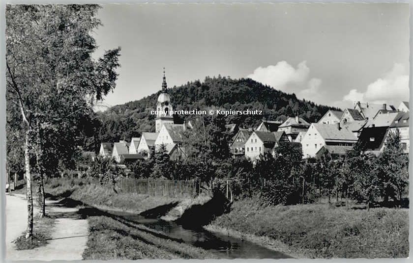 Pegnitz Schlossberg * 1955