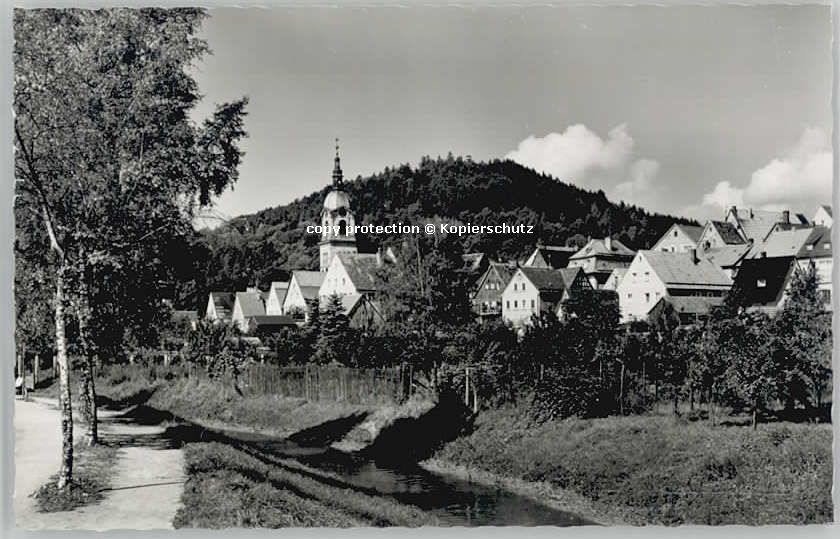 Pegnitz Schlossberg * 1955