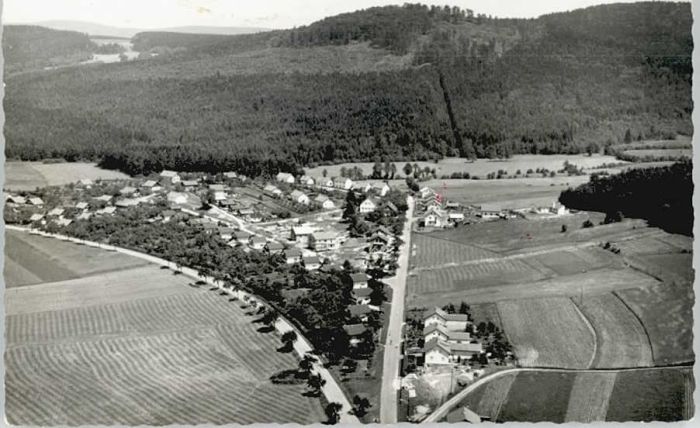 Waldmuenchen Cham Bayern Fliegeraufnahme * 1961