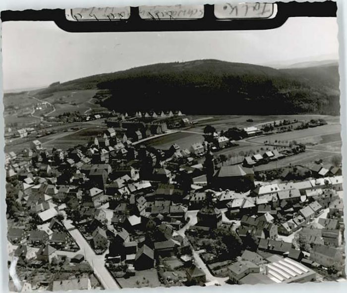 Schwarzenbach Wald Fliegeraufnahme
