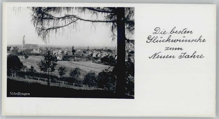 Noerdlingen leinformat